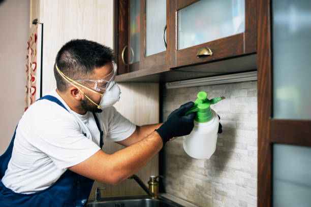 Pest Control for Restaurants in Glenn Heights, TX