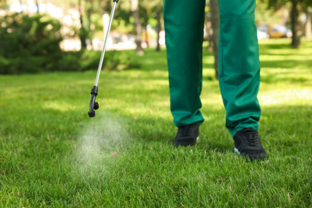 Bird Control in Glenn Heights, TX