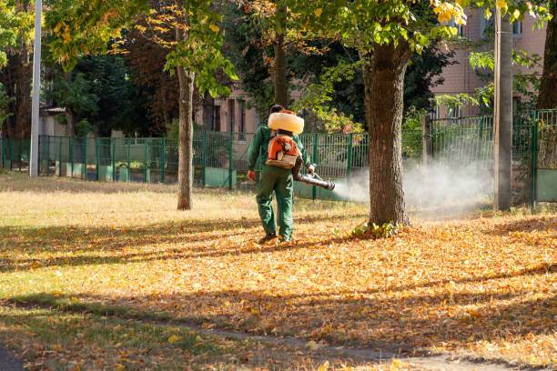 Pest Control for Restaurants in Glenn Heights, TX