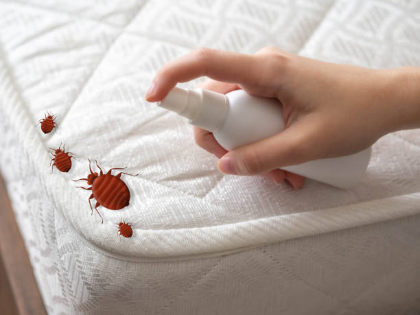 Professional Pest Control in Glenn Heights, TX