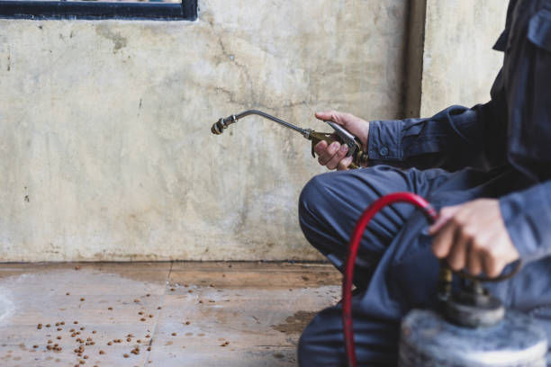 Best Pest Prevention Services  in Glenn Heights, TX